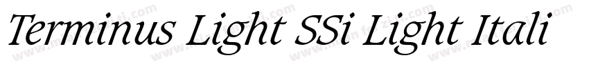 Terminus Light SSi Light Italic字体转换